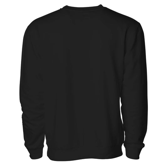 DFW Dallas–Fort Worth airport crewneck sweatshirt black — back view