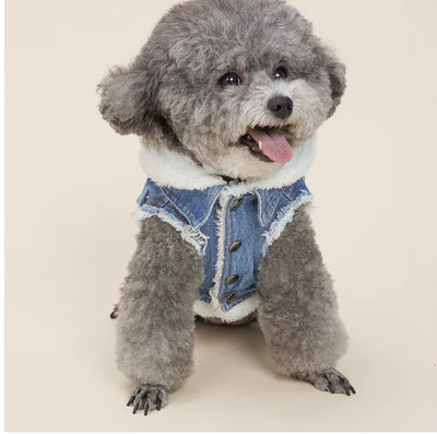 Denim Dog Jacket- Justin