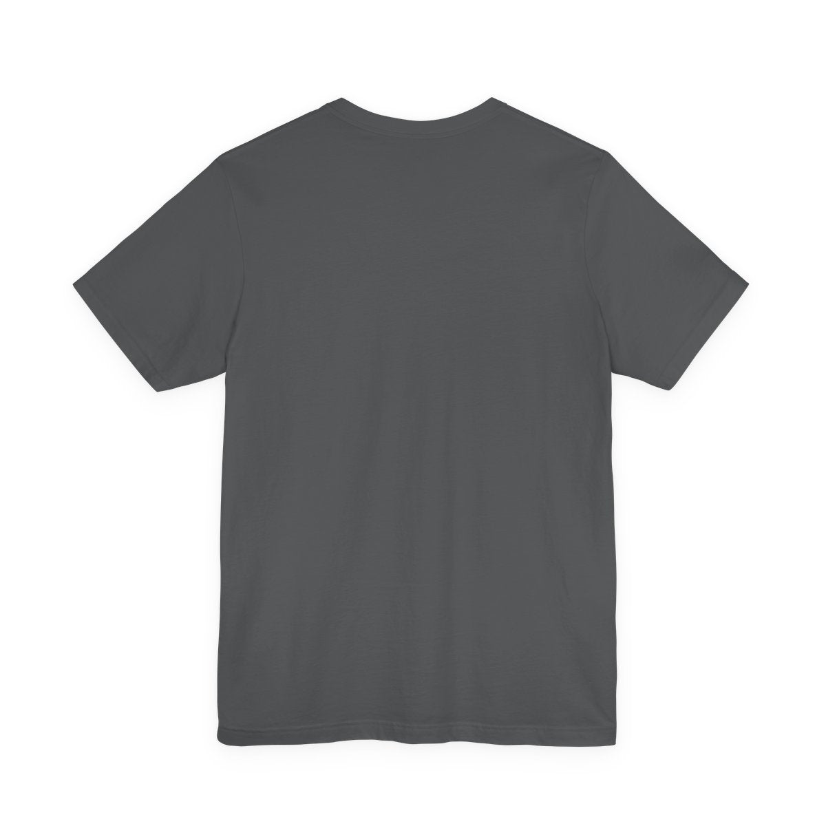 Window Seat travel tee in Asphalt, back view