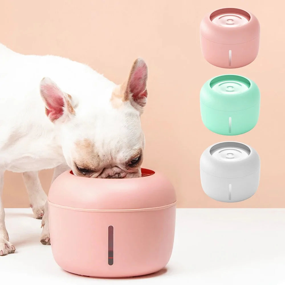 Pet Water Bowl