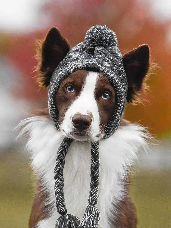 Dog Beanie