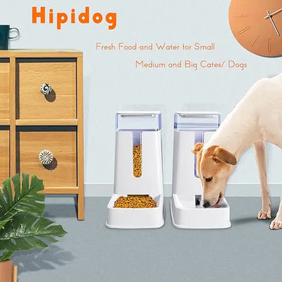 Automatic Cat Feeder set