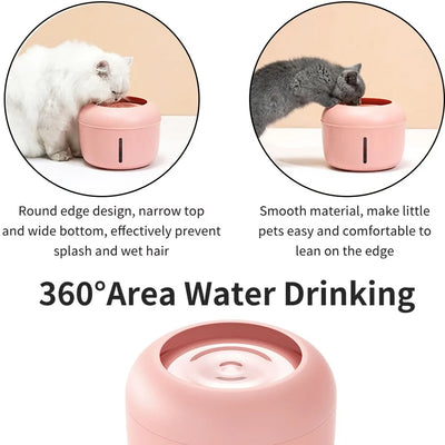 Pet Water Bowl